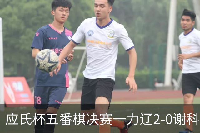 应氏杯五番棋决赛一力辽2-0谢科 率先拿到赛点